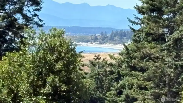 View from back deck