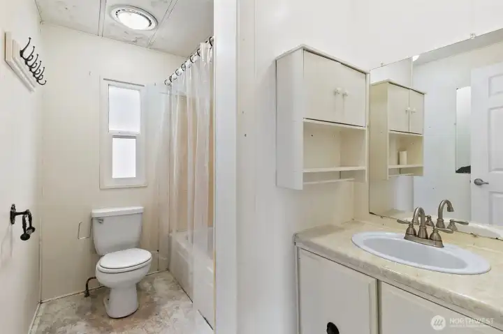 Full hallway bathroom
