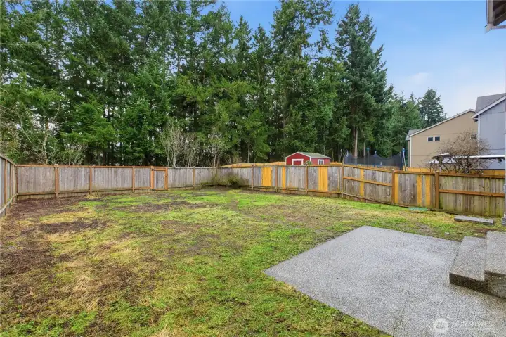 Spacious backyard.