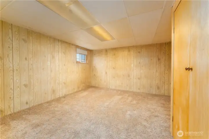 Lower level bedroom.