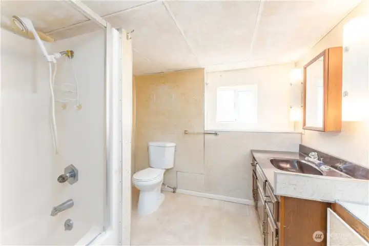 Lower level full bathroom.