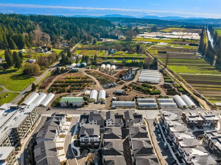 Aerial view of the sunny southern end of Harvest, a vibrant Woodinville wine country community.