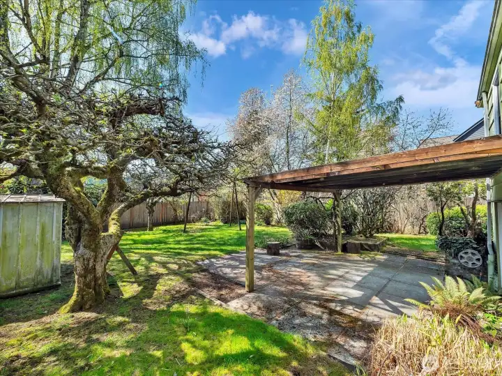 Covered patio with a view to the backyard.