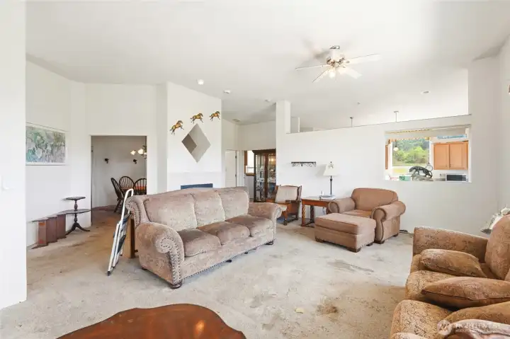 Family/living room