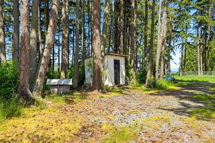 Shed