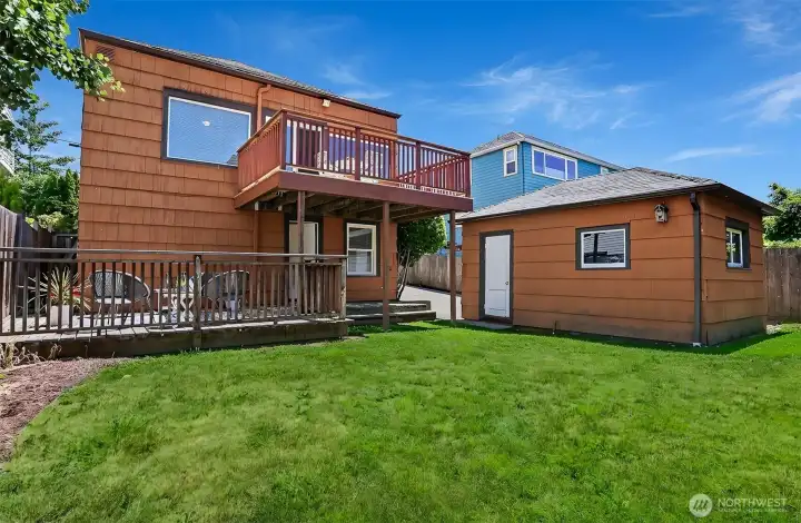 Sun-filled yard.