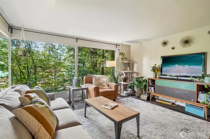Expansive Windows