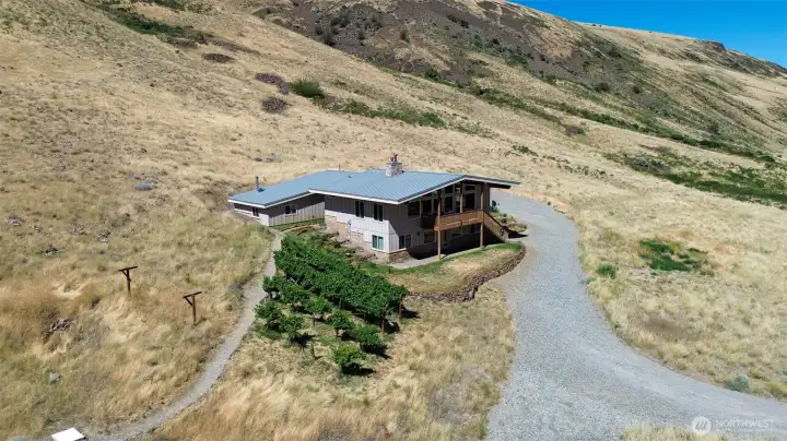 Hobby vineyard, nice gravel driveway and a picture perfect house and detached garage with bonus room in rear complete with wood stove! Hobby vineyard, nice gravel driveway and a picture perfect house and detached garage with bonus room in rear complete with wood stove!