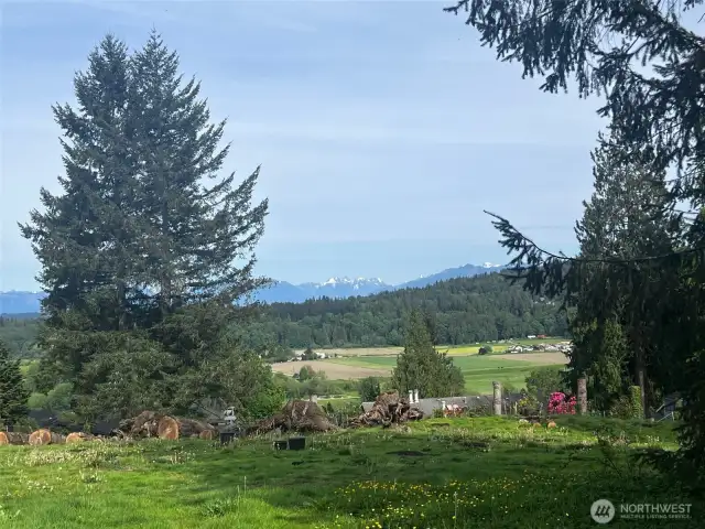 Walk around the acre yard and soak up the view!!