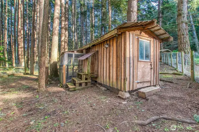 Chicken coop/dog run with fenced outdoor area.