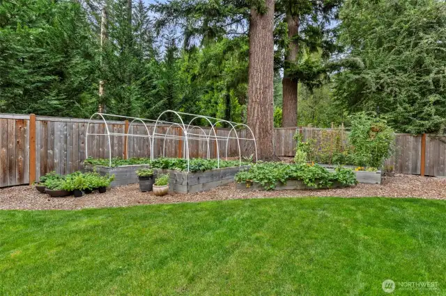Raised Garden Beds. Strawberries and Raspberries.