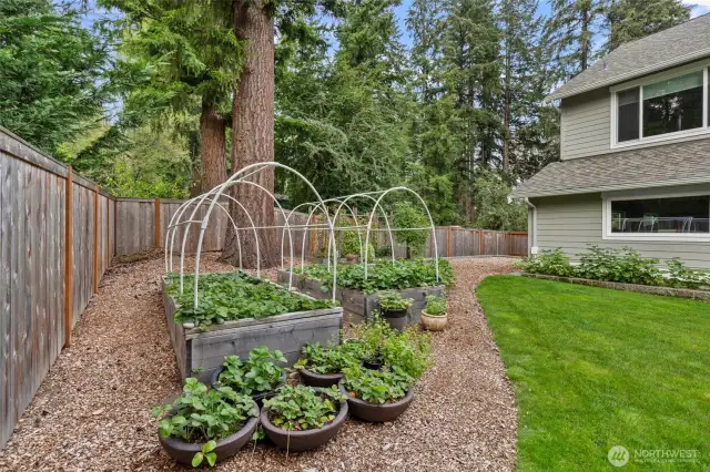 Around the corner is the area that can be a Dog Run, Kids play toy area, or more storage.