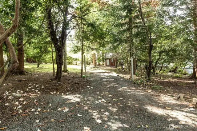 Dappled sunlight filters through tall trees as you approach the home’s private setting on a quiet lane.