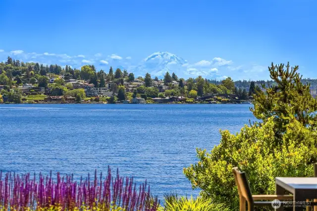 Panoramic views of the lake & Mt. Rainier