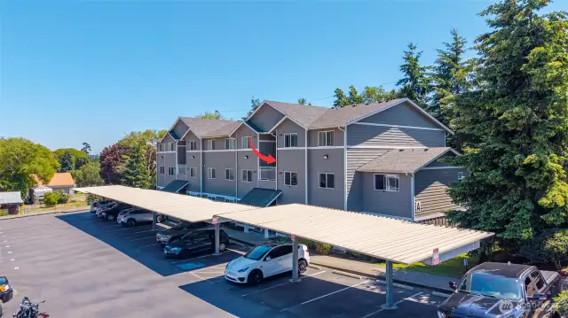 Welcome to the Summer Wind condo complex!