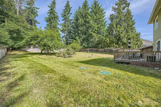 Massive backyard for your enjoyment