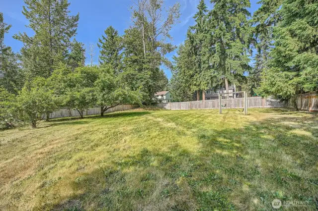 Massive backyard for your enjoyment with apple trees