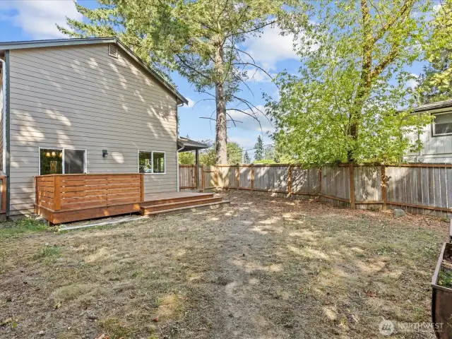 Huge back yard