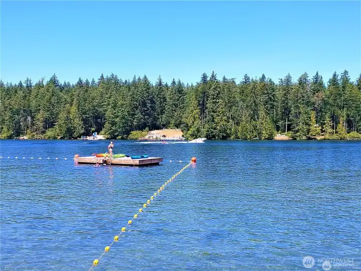 Swimming in the Lake!