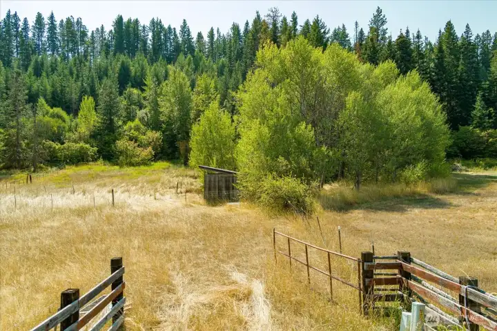 Nestled between Roslyn, Ronald and Suncadia, this peaceful parcel has the perfect location!
