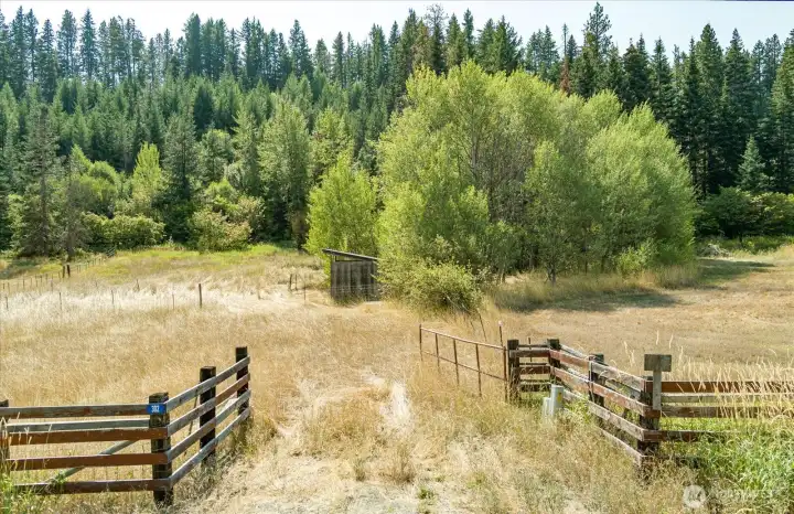 Level meadow a the front and a lovely hillside with a beautiful mix of trees.