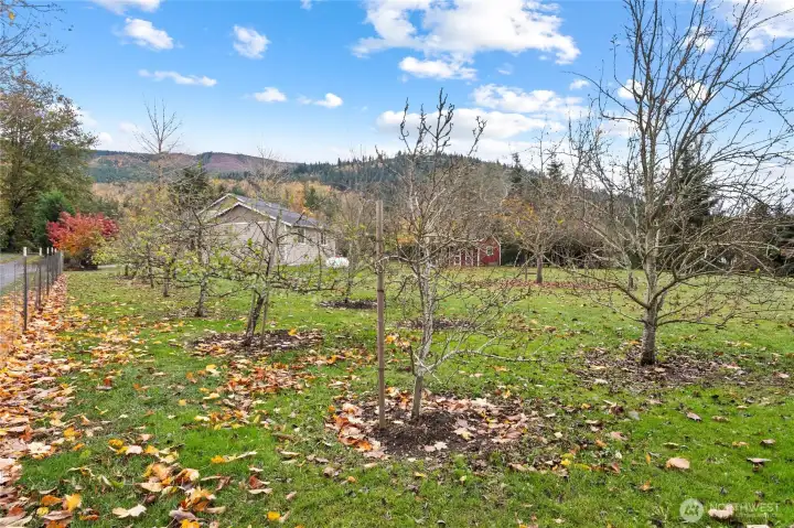 In addition to two garden plots, enjoy the harvest of apple, pear, cherry and walnut trees