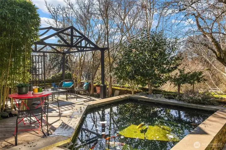 We'll revisit this space in a bit, but this is the delightful front patio with gazebo and koi pond.  We're looking SW across Magnolia Park.  The front entry steps are just out of frame on the right; the front door is just behind us.