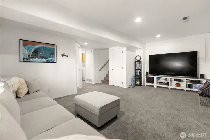 Family room in Walk out basement
