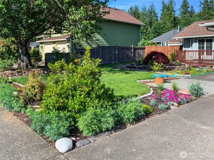 Preview of Spring & Summer Blooms