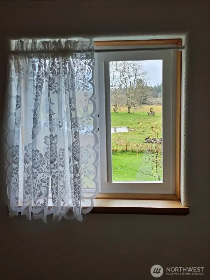 Peaceful pasture view from upstairs