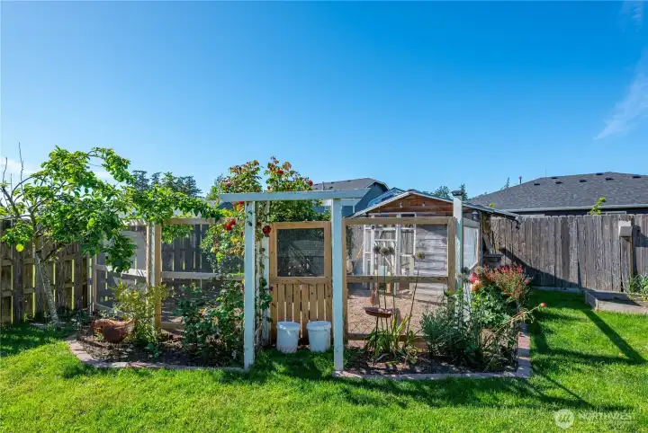 Fully fenced chicken coup