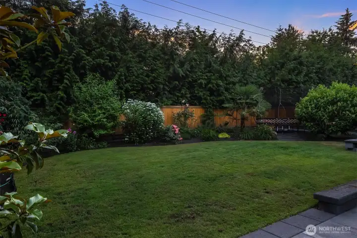A level play lawn & backdrop of privacy trees make this a dream backyard. A level play lawn & backdrop of privacy trees make this a dream backyard.
