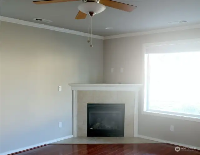 Fireplace in Living room