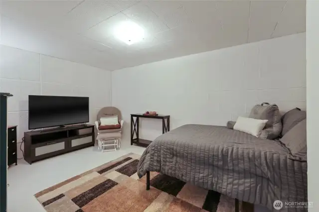 Lower level bonus room