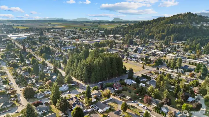 Aerial view from a drone