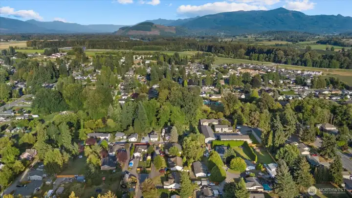 Aerial view from a drone