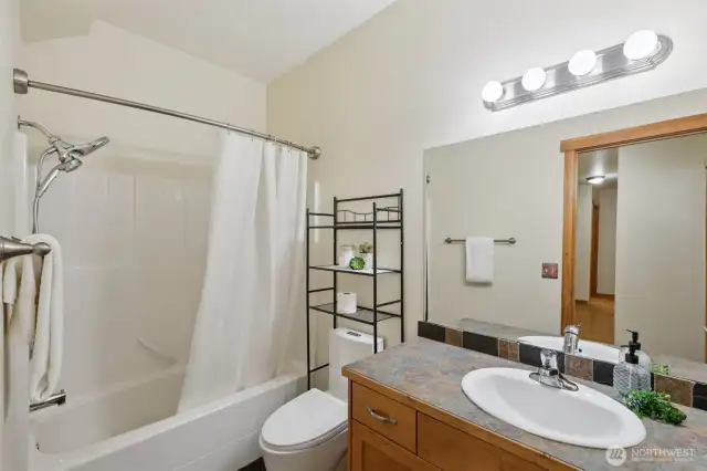 Lower level full bathroom, with brand new toilet.