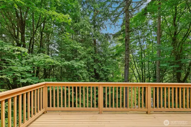 Upper level deck, with a plumbed in Webert grill