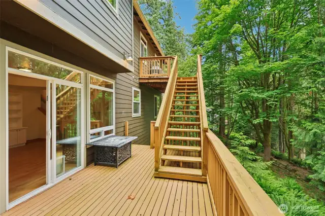 Lower level deck with plumbed in fire pit