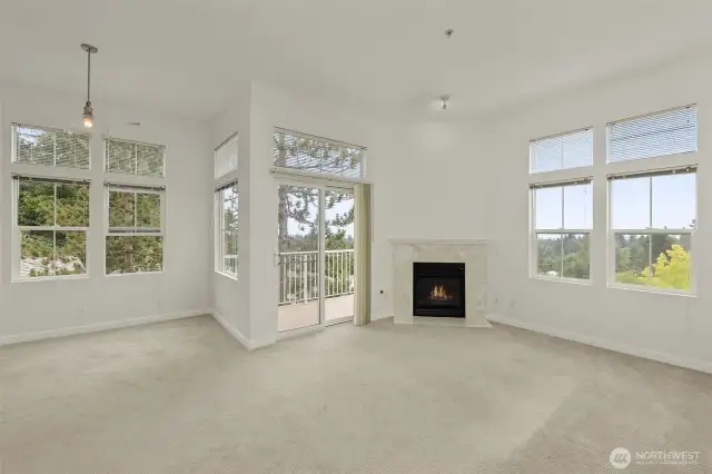 Great Open Concept