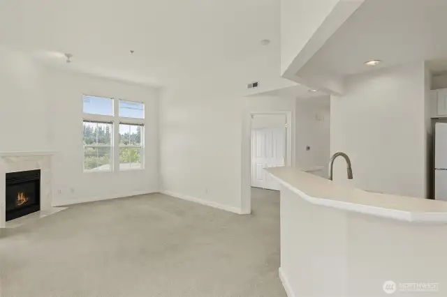 Newer Carpet Throughout