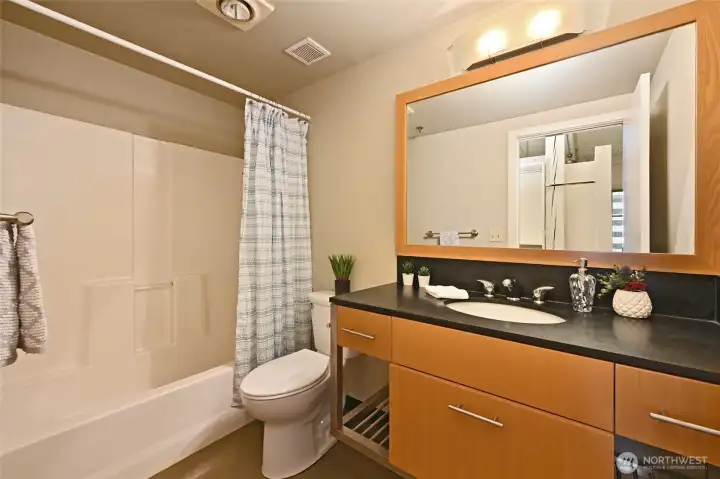 Full bath and new toilet