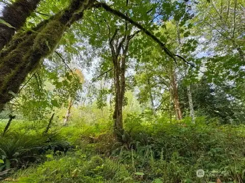 2.4 acres