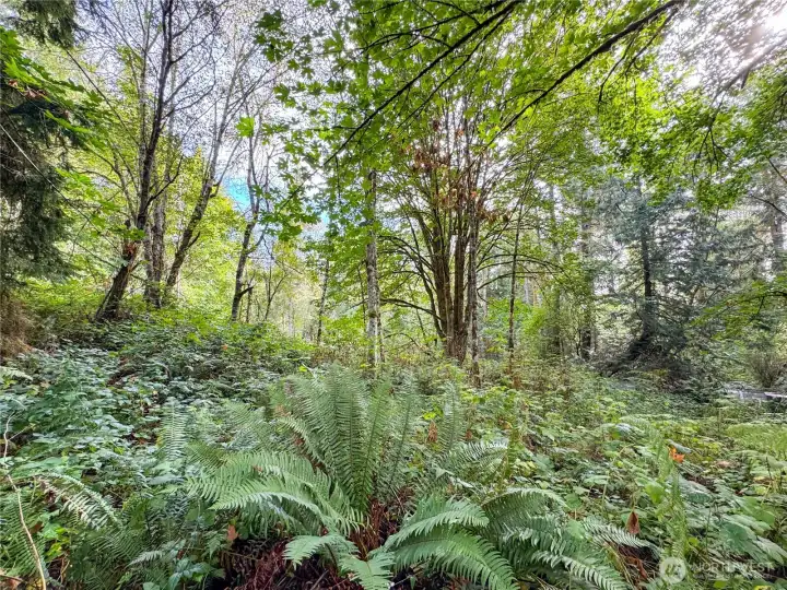 Virtual Tour of property available!