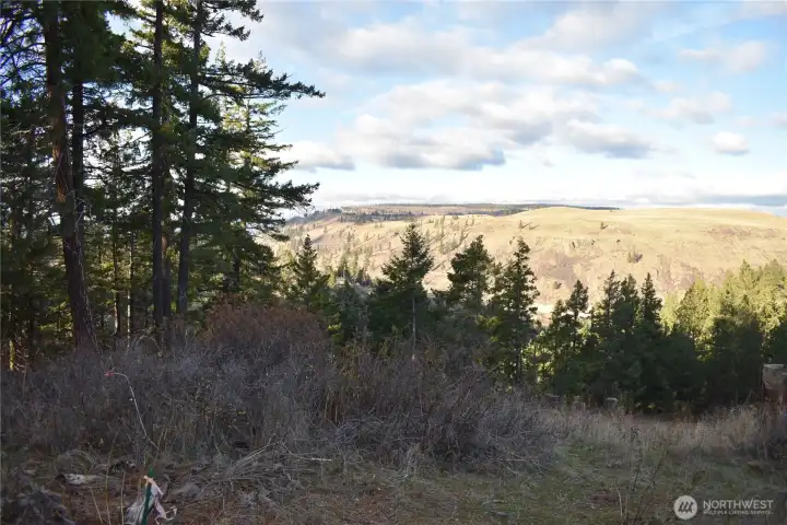 Southern edge of 241 lot w/N. western view