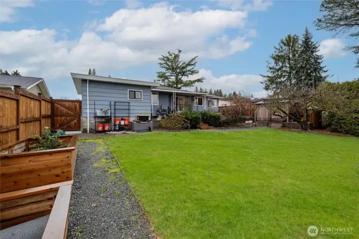 backyard/planter boxes