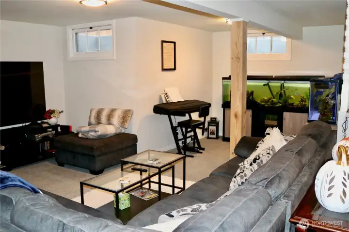 basement/downstairs rec area