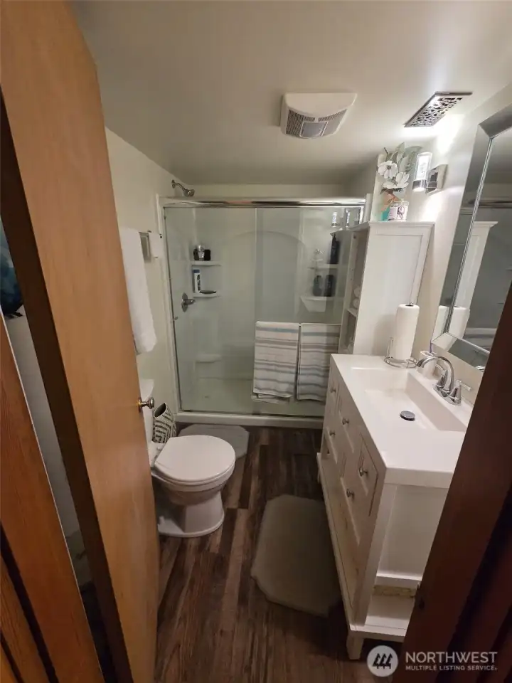 downstairs walk-in shower