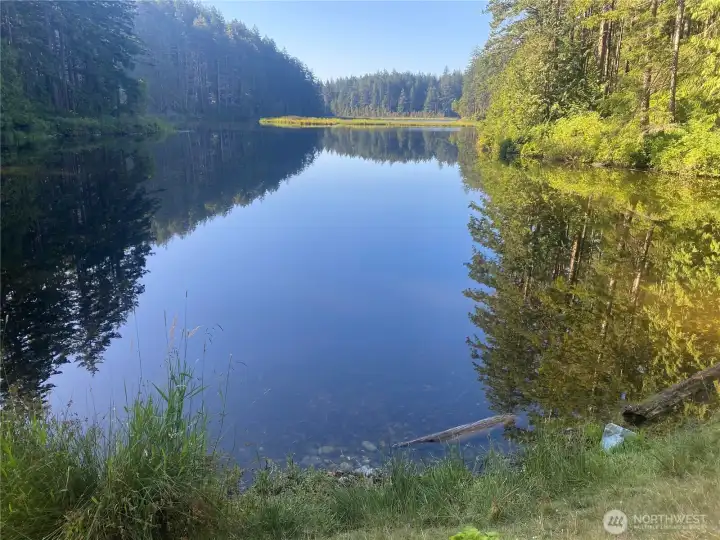 Little Cranberry Lake within the Anacortes Communty Forest Lands.