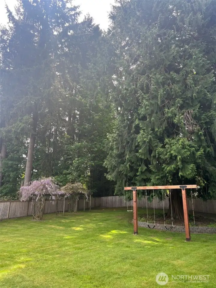 Backyard swing set